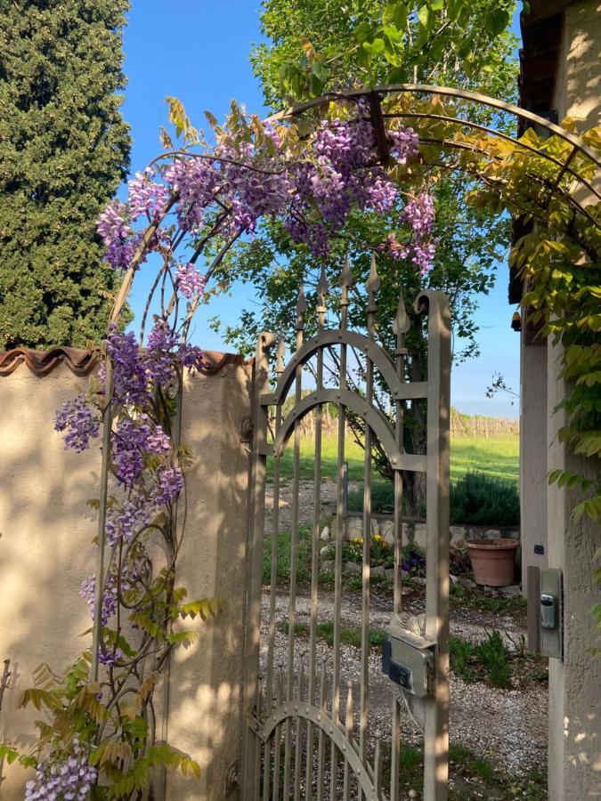 Monte Maino Bed & Breakfast Desenzano del Garda Ngoại thất bức ảnh