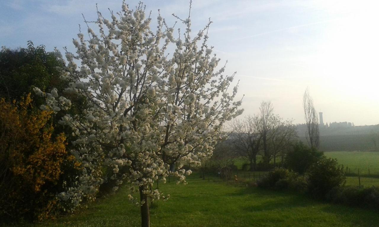 Monte Maino Bed & Breakfast Desenzano del Garda Ngoại thất bức ảnh