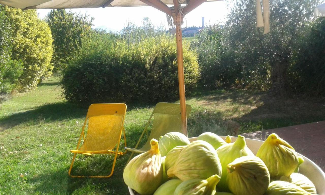 Monte Maino Bed & Breakfast Desenzano del Garda Ngoại thất bức ảnh